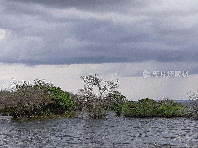 亚马逊地区- TAPAJOS - PARA